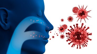 Erkältung: Viren dringen in die Atemwege ein Hier sieht man wie sich die Erkältungsviren über die Atemwege (Nase und Mund) im Körper verbreiten. © c_psdesign1/ fotolia